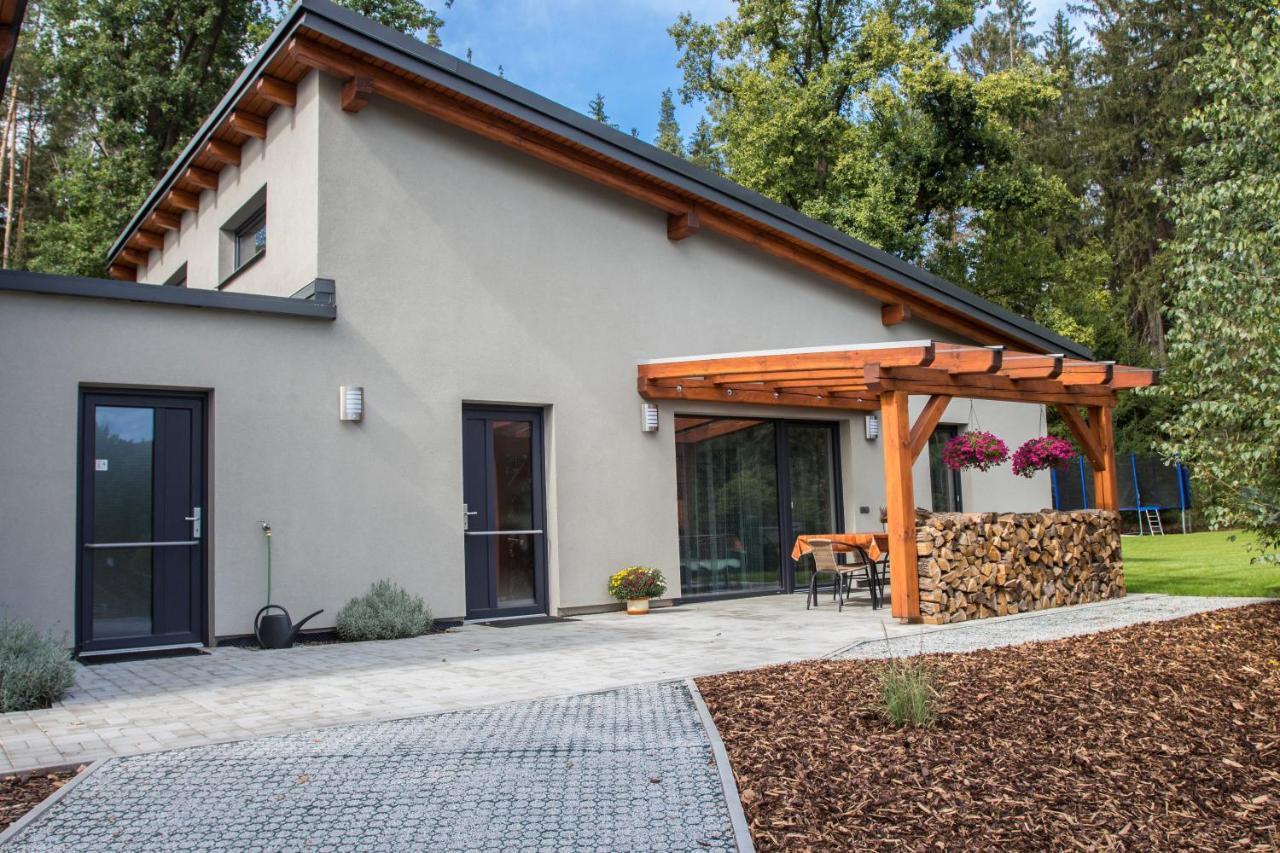 Apartmany Pod Lesem II Rodvínov エクステリア 写真